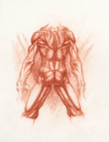 Anatomical Study, Torso 11